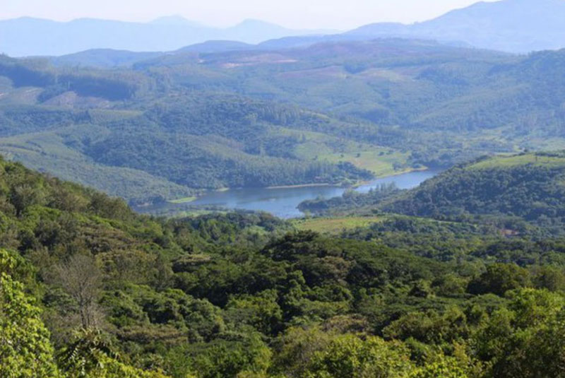 omgeving Vumba Zimbabwe Eastern Highlands